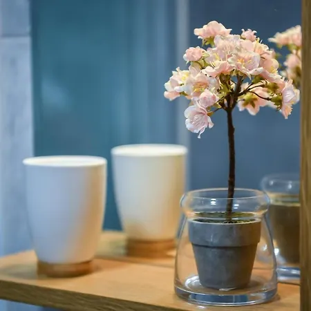 Aparman Mila Lux Apartment Zlatibor