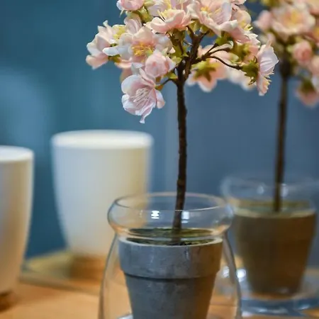 Apartman Aparman Mila Lux *