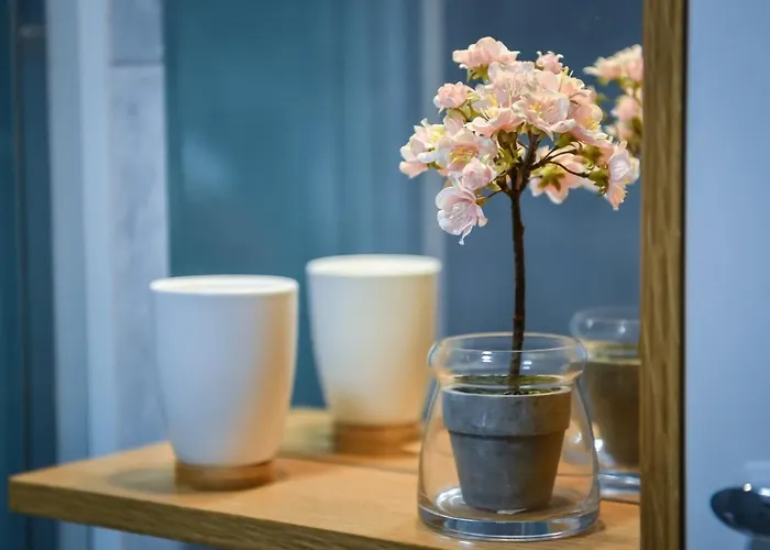 Aparman Mila Lux Апартаменты Златибор